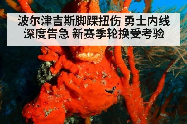 波尔津吉斯脚踝扭伤 勇士内线深度告急 新赛季轮换受考验